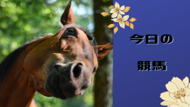 【11月6日】今日の当たらない競馬