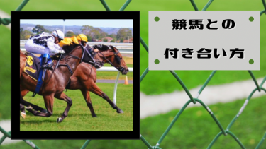 【競馬デビュー1周年】競馬との付き合い方