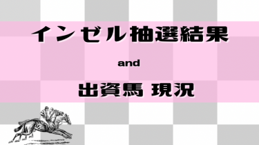 【一口馬主】インゼル抽選結果！出資馬近況