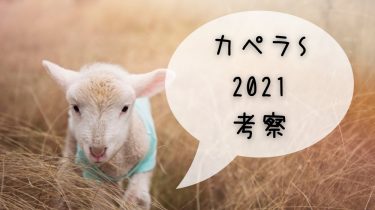 【GIII】カペラS2021 考察