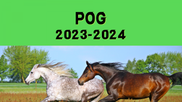 【POG2022−2023】結果【2023-2024】開幕！