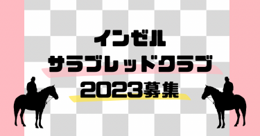 インゼル【2023年募集まとめ】一口馬主