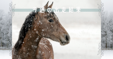 無事にデビュー戦まで辿り着いたウサギちゃん【今週の出走結果】